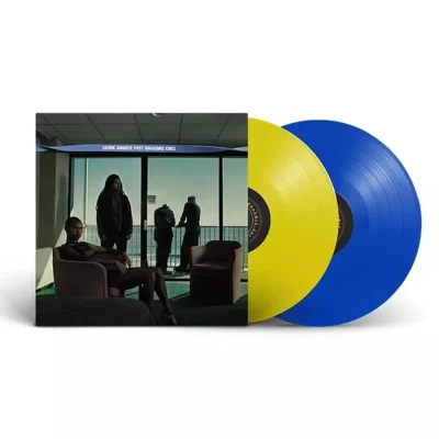 Afbeelding van Skunk Anansie Post Orgasmic Chill (2 LPs)