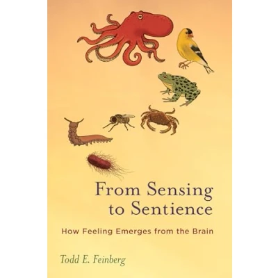 Afbeelding van From Sensing to Sentience