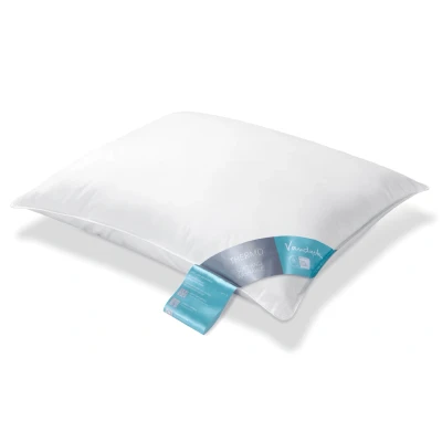 Afbeelding van Vandyck THERMO KUSSEN 60 x 70 PILLOW 60/70