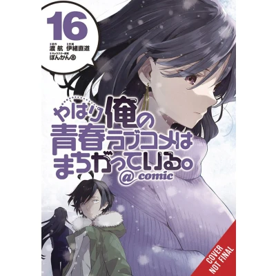 Afbeelding van YOUTH ROMANTIC COMEDY WRONG EXPECTED 16: Volume 16