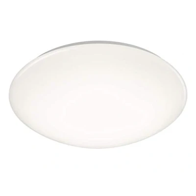 Afbeelding van REALITY PUTZ Plafondlamp Wit incl. 1x SMD 15W D: 37cm IP44