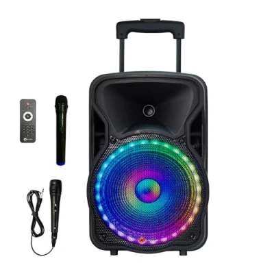 Afbeelding van N Gear The Flash 1205 draagbare 12 inch accu speaker