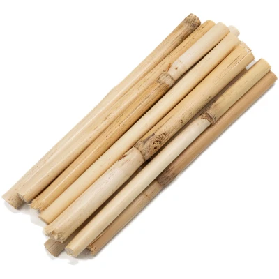 Afbeelding van Colorations Korte Bamboestokkken 10 12cm, 10st.