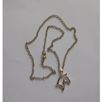 Afbeelding van Ketting met hanger Paardenhoofd.