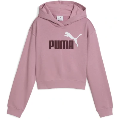 Afbeelding van PUMA Meisjes Ess 2 Color No. 1 Logo Korte Lengte Hoodie Tr G Sweatshirt (pak van 1)