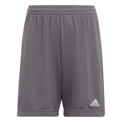 Afbeelding van adidas Uniseks Kind Entrada 22 Shorts, Team Grey Four, 13 14 Years