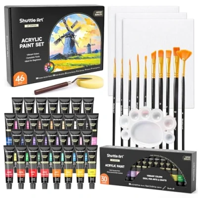 Afbeelding van Shuttle Art Set van 46 acrylverf, 30 kleuren acrylverf met 10 borstels, 3 blanco canvas, 1 palet, spons, complete verfset voor hout, keramiek, kunstverfset beginners en volwassenen