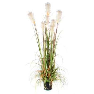 Afbeelding van Pluimgras Foxtail 180cm