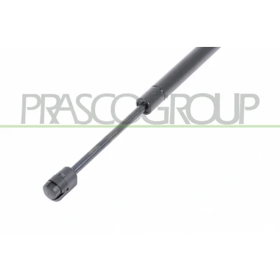 Afbeelding van PRASCO BM8029005 Gasveer Motorkap Aan beide zijden 720N