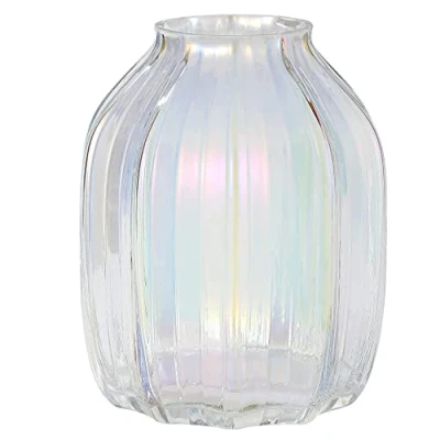 Afbeelding van Grote Gekleurde Moderne Glazen Vaas Geïriseerde Kristalheldere 21cm voor Decoratieve Home Office Centerpieces Bloemen Decor (Gekleurd 21cm)