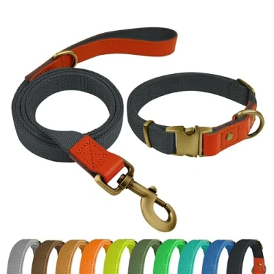 Afbeelding van QRDA Hondenhalsband en Riem Set Blauw Zwart Gepersonaliseerde Verstelbare Tactische voor Middelgrote Honden Grote