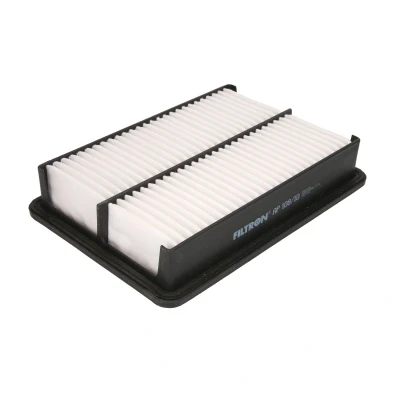 Afbeelding van Filtron Luchtfilter AP 108/10