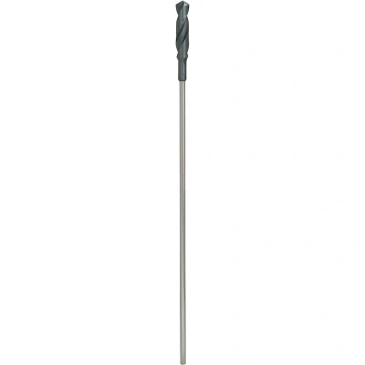 Afbeelding van Bosch Accessories 2608597174 Bekistingsboor 22 mm Gezamenlijke lengte 600 Cilinderschacht 1 stuk(s)