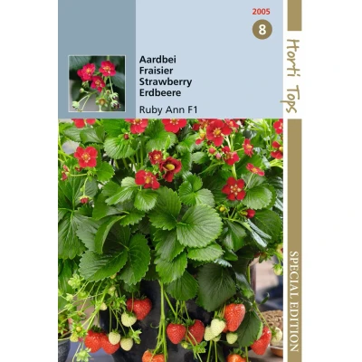 Afbeelding van Aardbeien, Ruby Ann F1 , hangaardbei