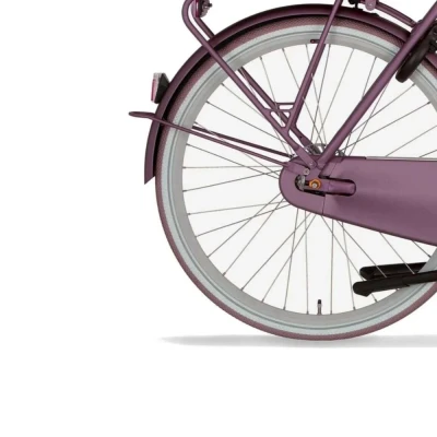 Afbeelding van Cortina Spatbord voor 28 E U4 spicy silver 2 matt