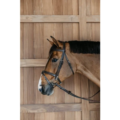 Afbeelding van Flash noseband Bridle with snaps Brown Full WBD
