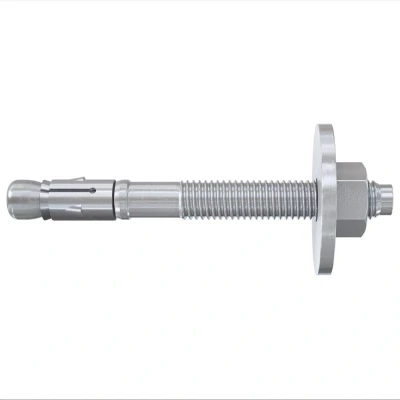 Afbeelding van Fischer Bolzenanker FBZ 10/10 GS Plug 10 mm 543407 50 stuk(s)