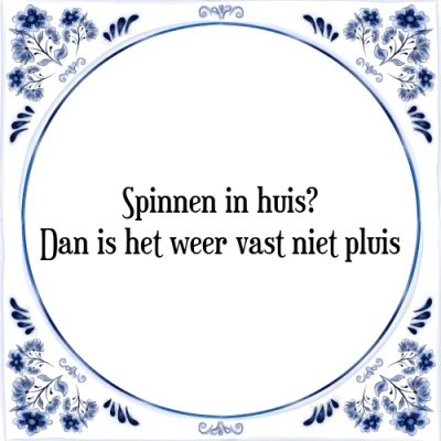 Afbeelding van Spinnen in huis? Dan is het weer vast niet pluis Tegeltje + Spreuk