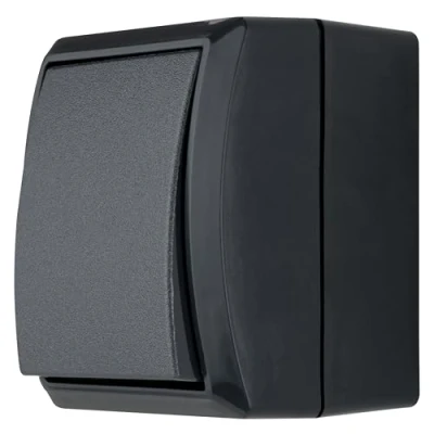 Afbeelding van REV AquaForm 0007301900 Schakelaar Wisselschakelaar voor vochtige ruimtes IP44, opbouw, antraciet