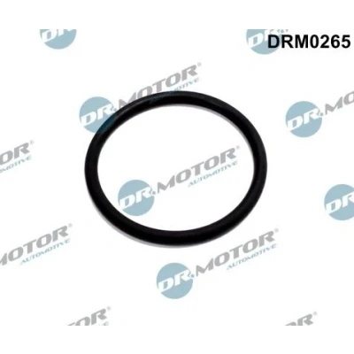 Afbeelding van Dichtring, leiding EGR klep Dr.Motor Automotive DRM0265