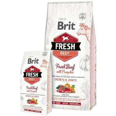 Afbeelding van Brit Fresh Beef &amp; Pumpkin Puppy Large Breed 12 kg Hond