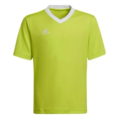 Afbeelding van adidas Performance Entrada 22 Voetbalshirt voor kinderen, Maat: 140, Team semi sol yellow