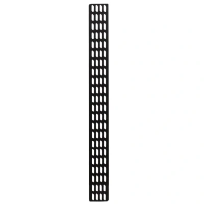 Afbeelding van DSIT 22U verticale kabelgoot 30cm breed netwerkkabel