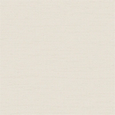 Afbeelding van Dutch Wallcoverings Tapestry TP422601 Weave White