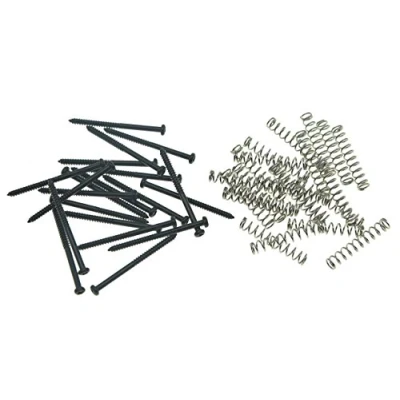 Afbeelding van Kaish schroeven en veren, geschikt voor het bevestigen van pick ups bij basgitaren, 20 x springs, zwart