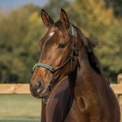 Afbeelding van Horka Touwhalster Mint Cob
