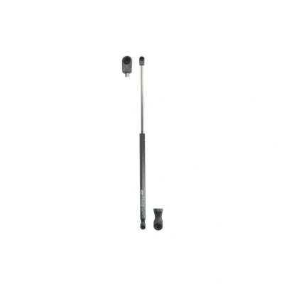 Afbeelding van Magneti Marelli Gasveer 430719073700