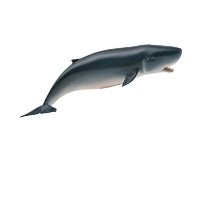 Afbeelding van Collecta Zeedieren Dwergpotvis 15,2 X 3,8 Cm