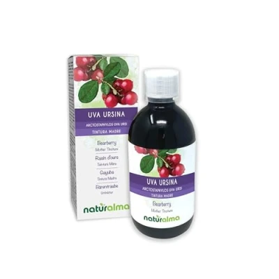Afbeelding van Berendruif (Arctostaphylos uva ursi) bladeren Alcoholvrije moedertinctuur Naturalma Vloeibaar extract druppels 500 ml Voedingssupplement Veganistisch