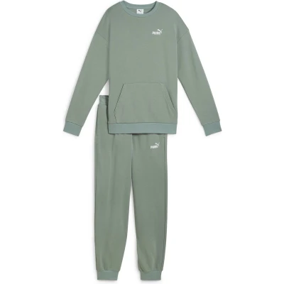 Afbeelding van Puma Relaxed SUIT SET Trainingspak, Dames, Maat: XS, Green moon