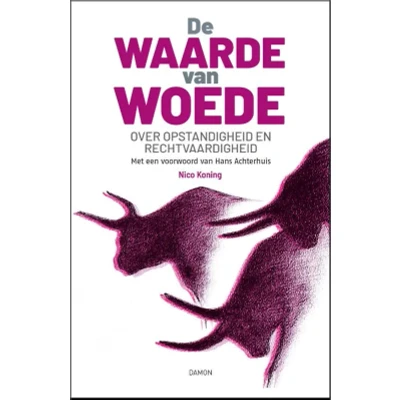 Afbeelding van De waarde van woede (Paperback)