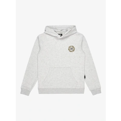 Afbeelding van Quiksilver Graphic Sweater voor kinderen, Maat: 164, Grey