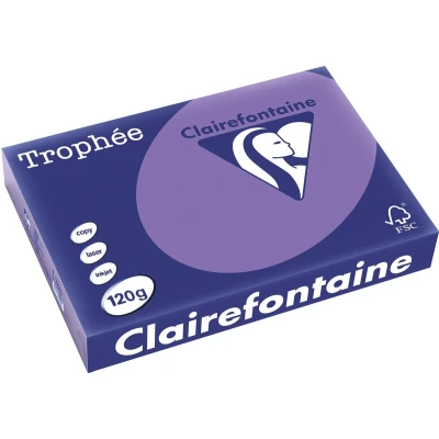 Afbeelding van Clairefontaine Trophée Intens, gekleurd papier, A4, 120 g, 250 vel, violet papier