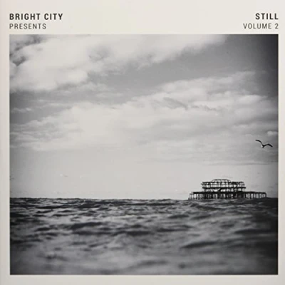 Afbeelding van Bright City Still Volume 2 (LP)