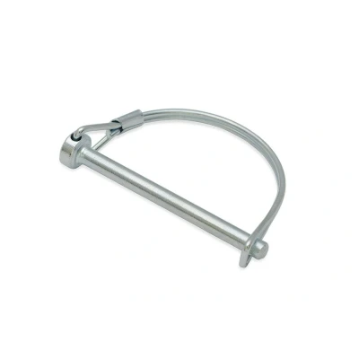 Afbeelding van Dulimex borgpen rond 10mm vz.