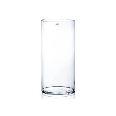 Afbeelding van Glazen vaas transparant 19 x 40 cm Vazen