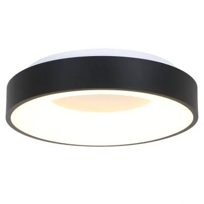Afbeelding van Steinhauer plafondlamp Ringlede 1 lichts 48x9 cm zwart