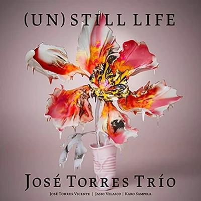 Afbeelding van Jose Torres Trio (Un)Still Life (CD)