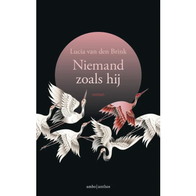 Afbeelding van Niemand zoals hij (Paperback)