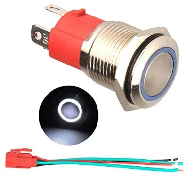 Afbeelding van GUUZI 220V/15A Kortstondige Drukknop NO Waterdicht wit LED licht Verlicht 19mm Metalen Startknop Met Stopcontactstekkerdraad