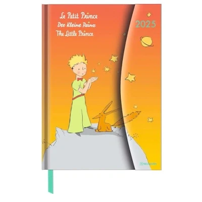Afbeelding van Der Kleine Prinz 2025 Diary Buchkalender Taschenkalender 16x22: Magneto