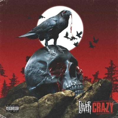Afbeelding van Clever Crazy (LP)