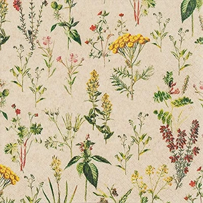 Afbeelding van Eco Line 20 servetten, duurzaam, van 100% gerecycled papier, weide vol planten, bloemen, lente, zomer, tafeldecoratie 33 x cm