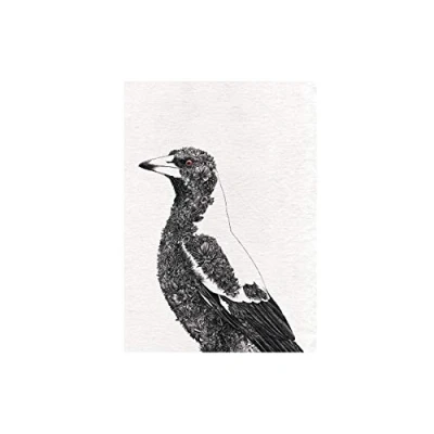 Afbeelding van Maxwell &amp; Williams Marini Ferlazzo Vogels, Theedoek Bedrukt met Zwartrugfluitvogel, Katoenen Theedoek, Zwart/Wit, 50 x 70 Centimeter