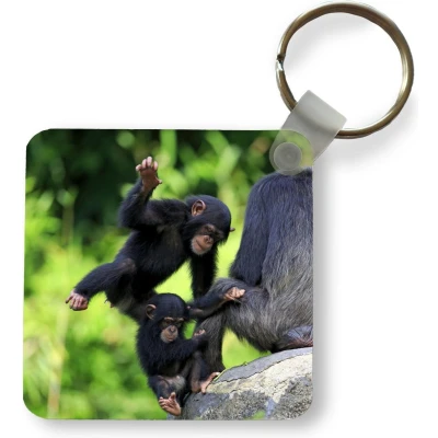 Afbeelding van Sleutelhanger Uitdeelcadeautjes Chimpansee Steen Jong Plastic