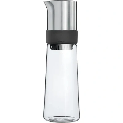 Afbeelding van IJstheemaker Blomus Tea Jay RVS